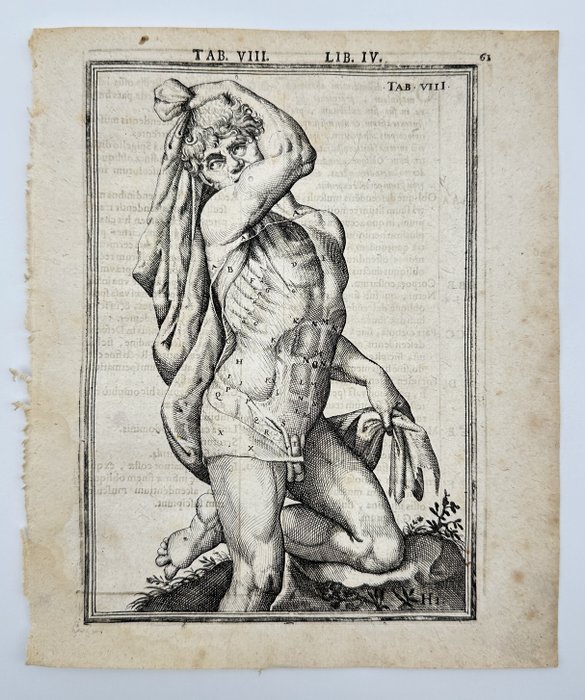 Adriaan van den Spiegel (XVII) - Spiegel  Giulio Casseri - Human Anatomy Legs - ”De humani corporis fabrica liber decem