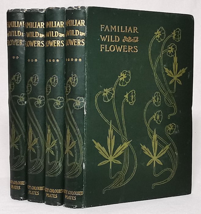 F. Edward Hulme - Familiar Wild Flowers (with 160 Colour Plates) - 1902