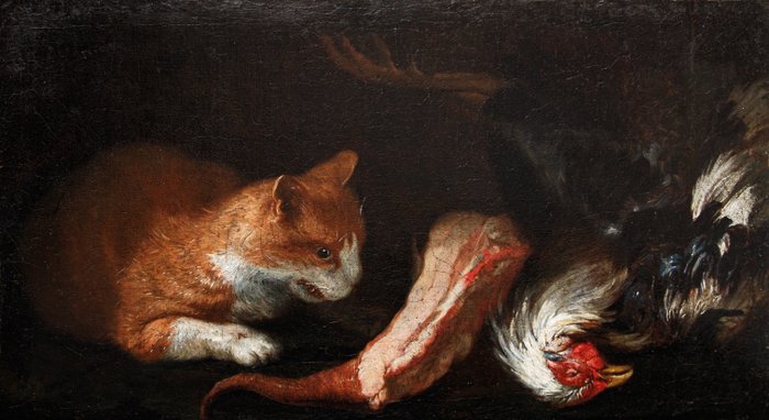 Scuola italiana (XVII) - Gatto con natura morta