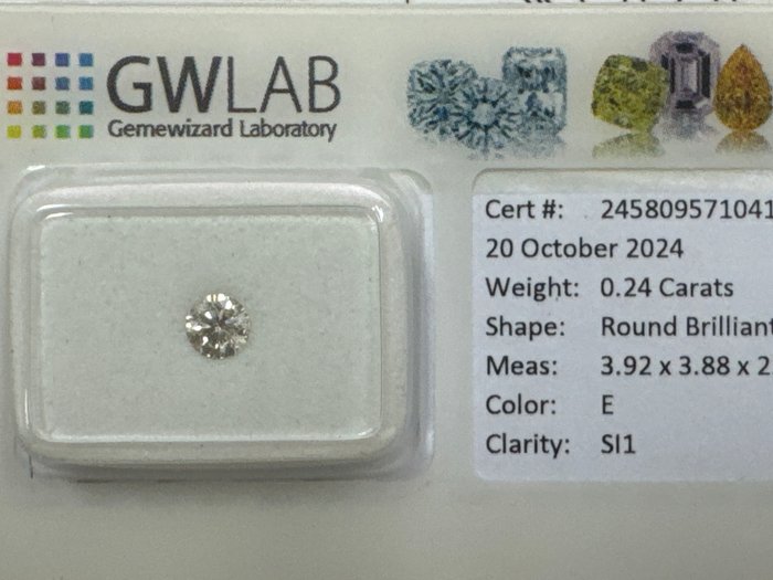 Ingen mindstepris - 1 pcs Diamant  (Natur)  - 0.24 ct - Rund - E - SI1 - Gemewizard Gemological Laboratory (GWLab)