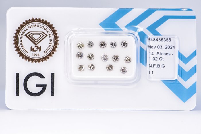 Ingen mindstepris - 14 pcs Diamant  (Naturfarvet)  - 1.02 ct - Rund - Fancy Brunlig Grå - I1 - International Gemological Institute (IGI)