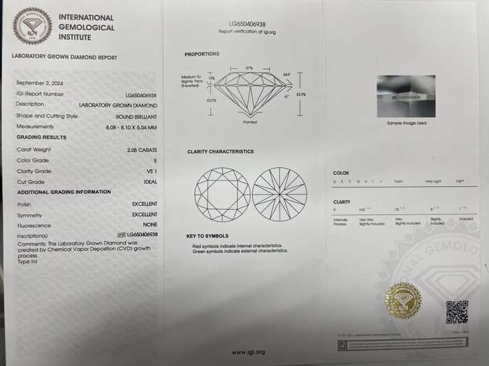 Øreringe - 18 kraat Hvidguld -  4.08ct. tw. Diamant (Laboratoriedyrket)