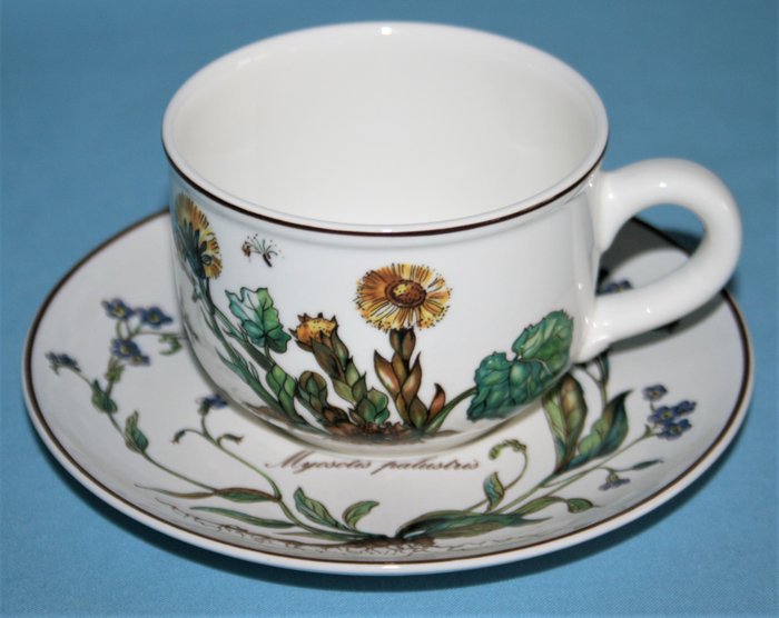 Villeroy  Boch - Te service (12) - Botanica - Vitro porcelæn