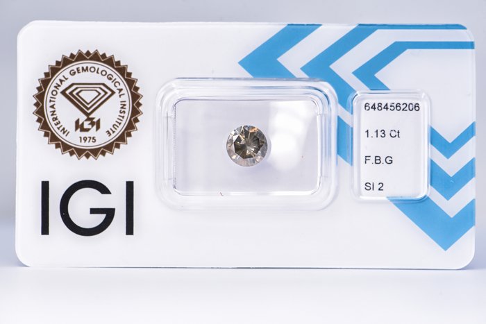 Ingen mindstepris - 1 pcs Diamant  (Naturfarvet)  - 1.13 ct - Rund - Fancy Brun Grå - SI2 - International Gemological Institute (IGI)