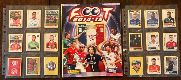 Panini - Foot 2014/15 France - Empty album + (499/510) Incomplete loose sticker set