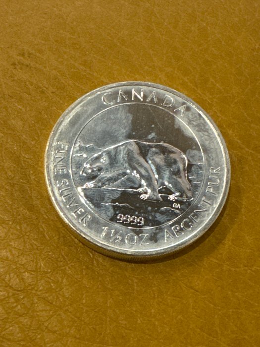 Canada. 8 Dollars 2013 'Polarbär', 1,5 Oz (.999)  (Ingen mindstepris)