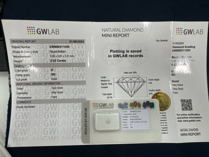 Ingen mindstepris - 1 pcs Diamant  (Natur)  - 0.23 ct - Rund - G - SI2 - Gemewizard Gemological Laboratory (GWLab)