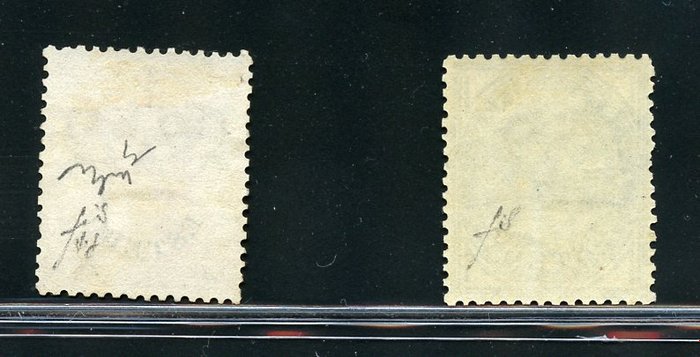 Levanten (italienske postkontorer fra 1874 til 1923) 1878/1979 - 10 c. lyseblå og 20 c. orange - modificerede hjørner "ESTERO" - Sassone NN. 10/11