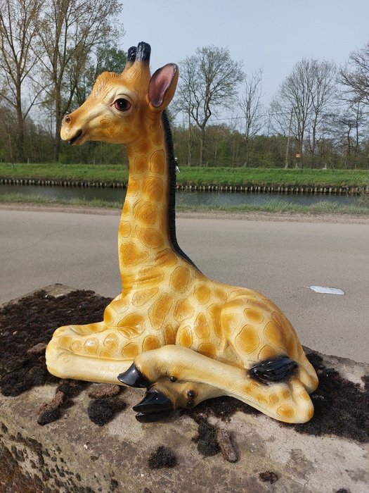 Statue, lying lifelike baby giraffe - 57 cm - polyresin