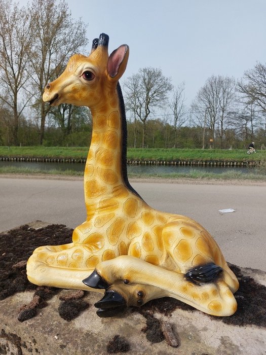 Statue, lying lifelike baby giraffe - 57 cm - polyresin