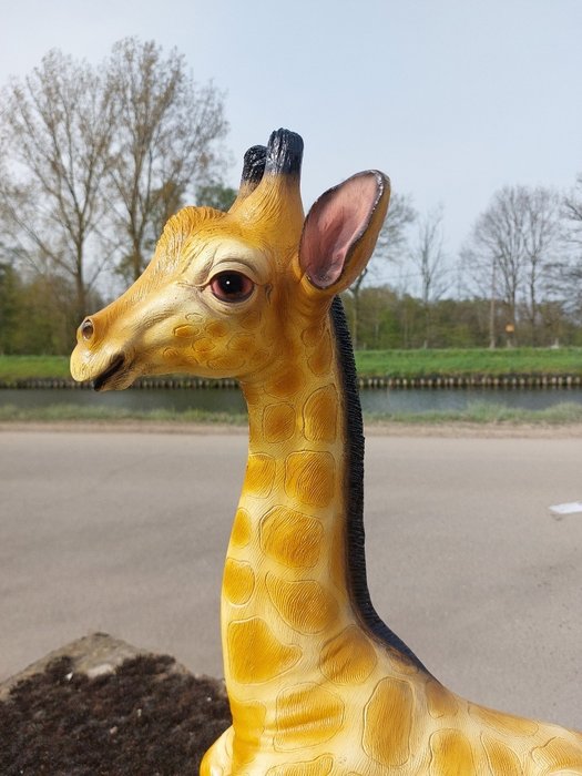 Statue, lying lifelike baby giraffe - 57 cm - polyresin