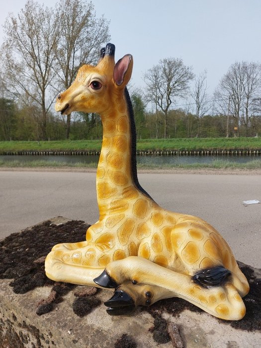 Statue, lying lifelike baby giraffe - 57 cm - polyresin