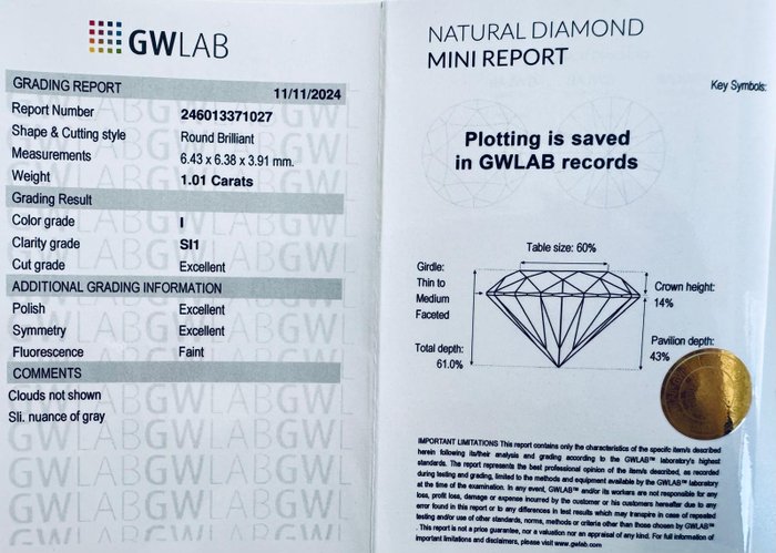 Ingen mindstepris - 1 pcs Diamant  (Natur)  - 1.01 ct - Rund - I - SI1 - Gemewizard Gemological Laboratory (GWLab)