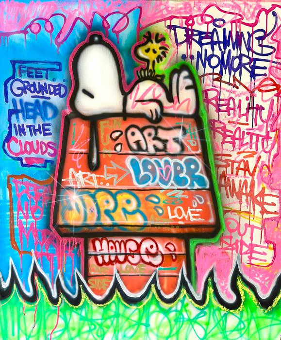 Outside313 - Snoopy - graffiti house