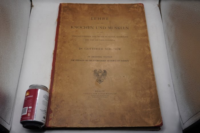 Dr. Gottfried Schadow - Lehre von den knochen und muskeln [31 double-page plates] - 1892