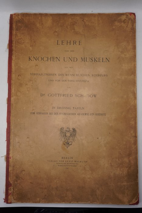 Dr. Gottfried Schadow - Lehre von den knochen und muskeln [31 double-page plates] - 1892