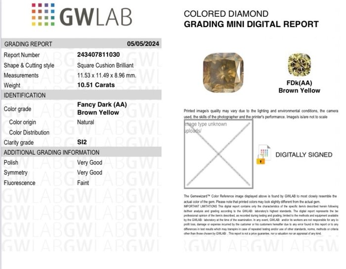 1 pcs Diamant  (Naturfarvet)  - 10.51 ct - Pude - Fancy dark Brun, Gul - SI2 - Gemewizard Gemological Laboratory (GWLab) - Lav mindstepris!