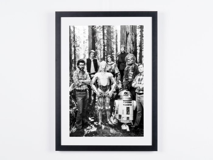 Star Wars Episode VI: Return of the Jedi, Cast in Endor Forest - Fine Art Photography - Luxury Wooden Framed 70X50 cm - Limited Edition Nr 04 of 50 - Serial ID 16784