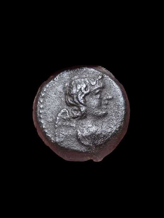 Seleucis og Pieria Antiochus IX Philopator (Cyzicenus) (114/3-95 fKr) Æ  (Ingen mindstepris)