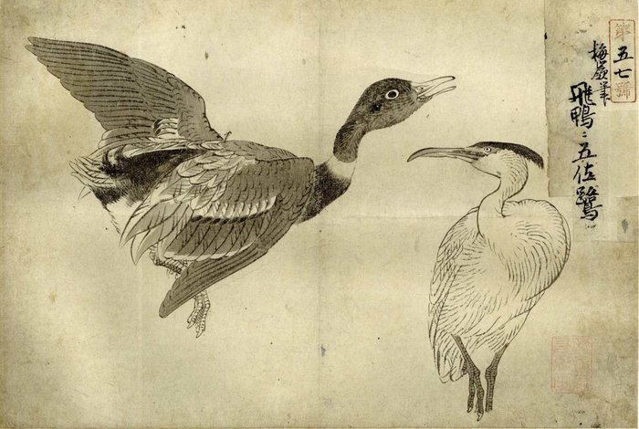 Hængende rullemaleri - Papir - Kono Bairei (1844-1895) - 'Tobigamo ni Gosa sagi' 飛鴨に五佐鷺 (Flying duck and Gosa heron) - Numbered 57 - Japan - Anden halvdel af 1800-tallet (Meiji-perioden)