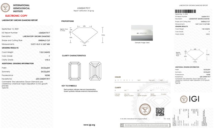 Ingen mindstepris - Kæde - 18 kraat Hvidguld -  7.03ct. tw. Diamant (Laboratoriedyrket) - Emerald F-VVS2