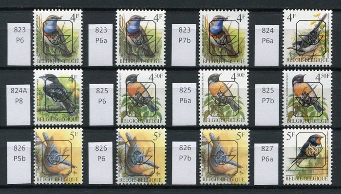 Belgien 1967/1996 - Komplet serie af Preo's 'Birds of Buzin' (inklusive alle papirtyper) - OBP/COB PRE SERIE 66 (49 waarden)