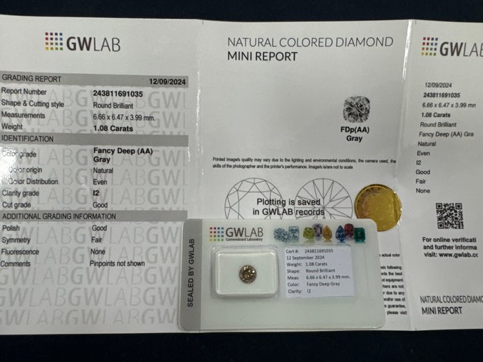 Ingen mindstepris - 1 pcs Diamant  (Naturfarvet)  - 1.08 ct - Rund - Fancy deep Grå - I2 - Gemewizard Gemological Laboratory (GWLab)