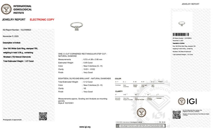 18 kraat Hvidguld - Ring - 1.07 ct Diamant