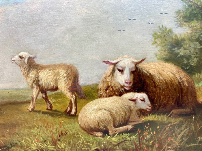 Auguste Bonheur (1824-1884) - Schapen in landschap