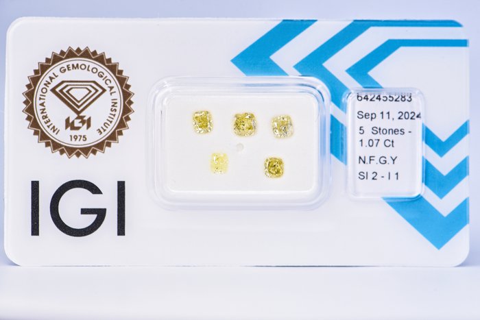 Ingen mindstepris - 5 pcs Diamant  (Naturfarvet)  - 1.07 ct - Pude - Fancy Grøn Gul - I1, SI2 - International Gemological Institute (IGI)