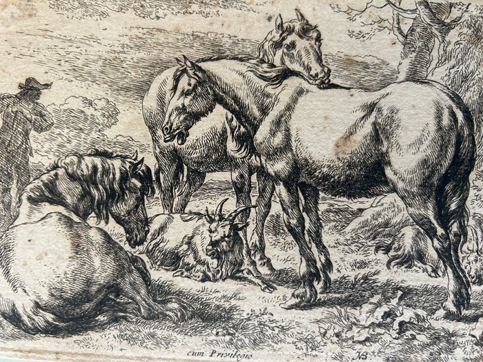 Nicolaes Pietersz. Berchem (XVII) - Tre cavalli - Drie Paarden; Les Chevaux