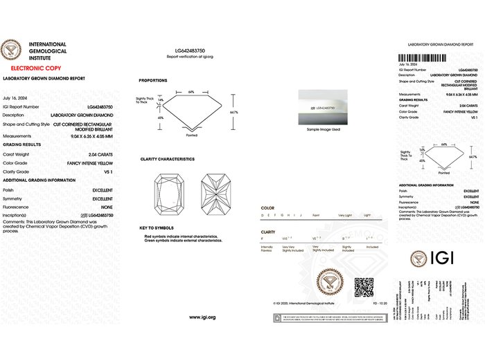 Øreringe - 14 karat Gulguld -  4.12ct. tw. Gul Diamant (Laboratoriedyrket diamant i fancy farver)