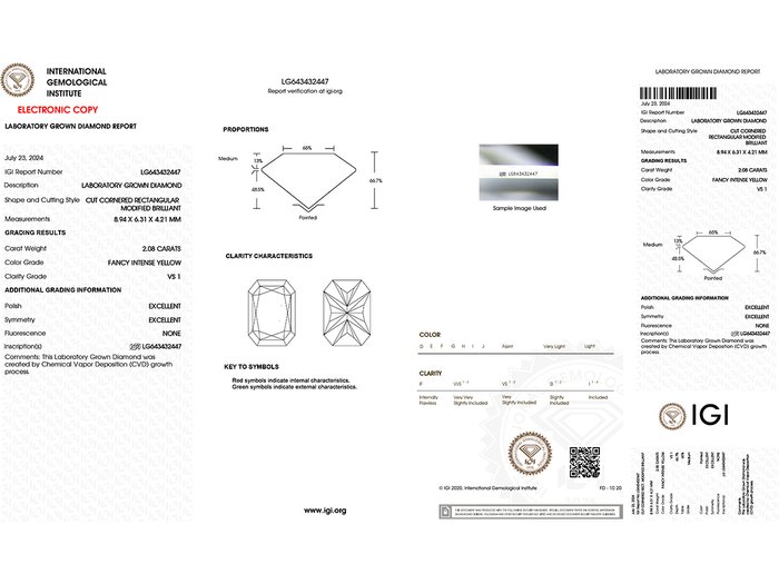 Øreringe - 14 karat Gulguld -  4.12ct. tw. Gul Diamant (Laboratoriedyrket diamant i fancy farver)