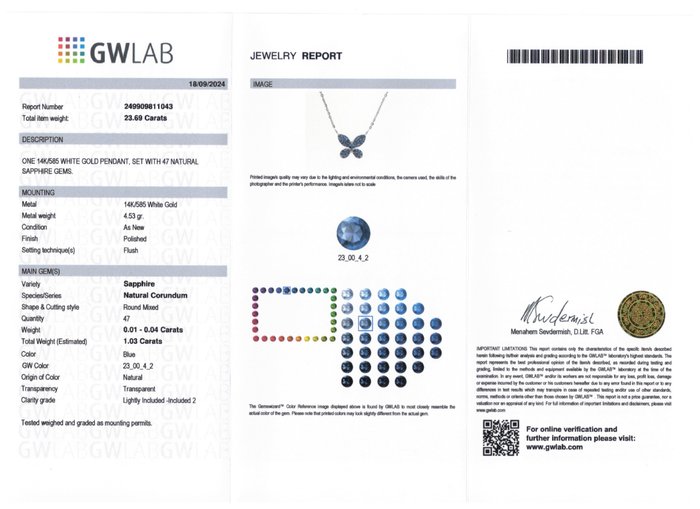 Halskæde med vedhæng - 14 karat Hvidguld -  1.03ct. tw. Safir