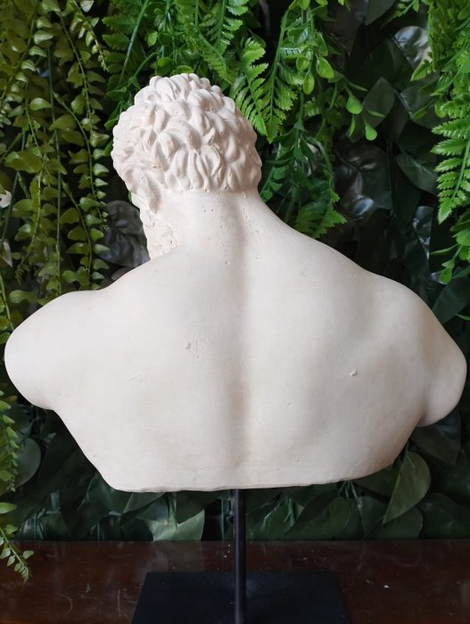 Skulptur Busto dell'ercole farnese - 35 cm - marmorstøv