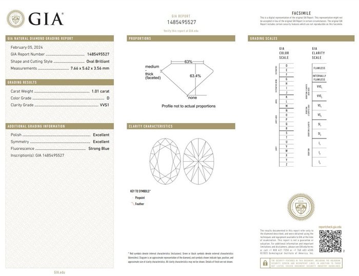 Ring - 18 kraat Hvidguld -  141ct tw Diamant (Natur) - Diamant