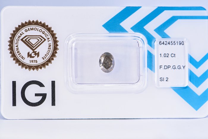 Ingen mindstepris - 1 pcs Diamant  (Naturfarvet)  - 1.02 ct - Oval - Fancy deep Grå, Grønlig Gul - SI2 - International Gemological Institute (IGI)