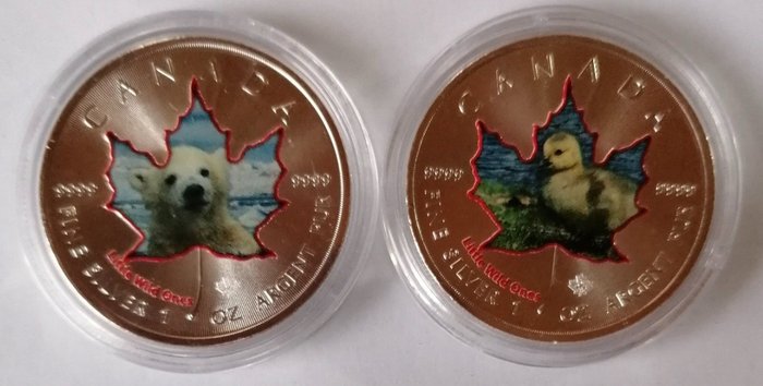 Canada. 5 Dollars 2016 Maple leaf - Little Wild Ones Polar Bear 5th Issue + Canada Goose 6th Issue, 2x1 Oz (.999)