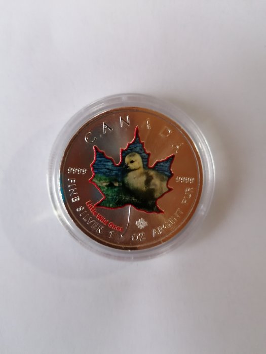 Canada. 5 Dollars 2016 Maple leaf - Little Wild Ones Polar Bear 5th Issue + Canada Goose 6th Issue, 2x1 Oz (.999)