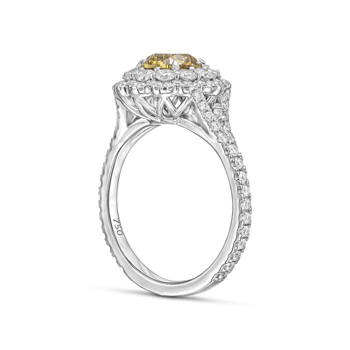 Statement-ring - 18 kraat Hvidguld -  2.31ct. tw. Gul Diamant (Naturfarvet) - Diamant