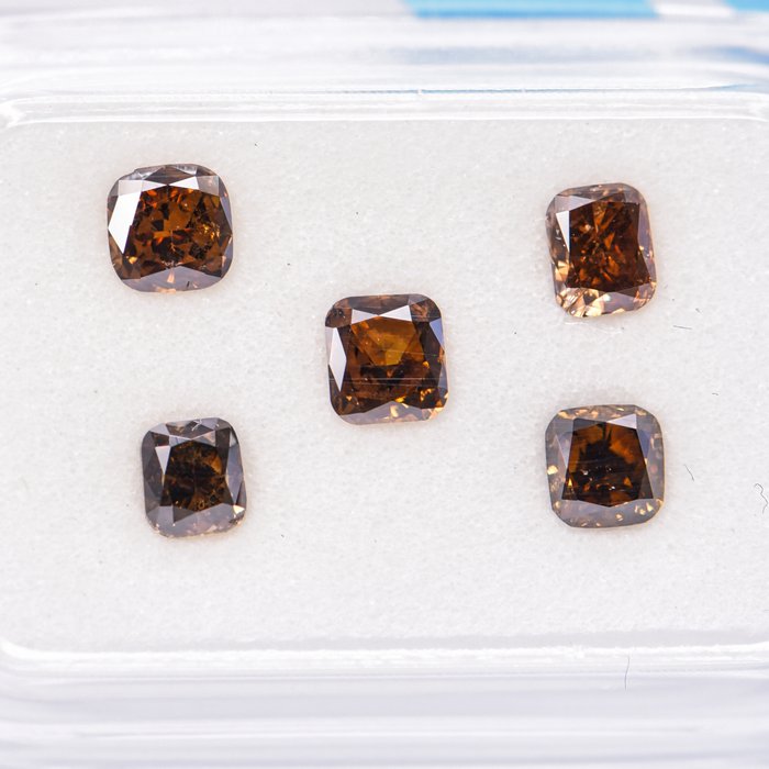 Ingen mindstepris - 5 pcs Diamant  (Naturfarvet)  - 1.10 ct - Pude - Fancy dark, Fancy deep Brun Gul - SI1, VS2 - International Gemological Institute (IGI)