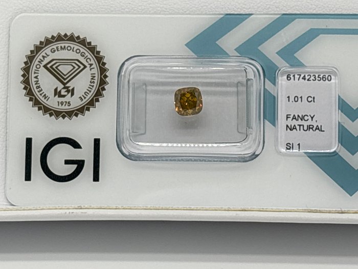 Ingen mindstepris - 1 pcs Diamant  (Naturfarvet)  - 101 ct - Pude - Fancy deep Brunlig Orange nuance Gul - SI1 - International Gemological Institute (IGI)