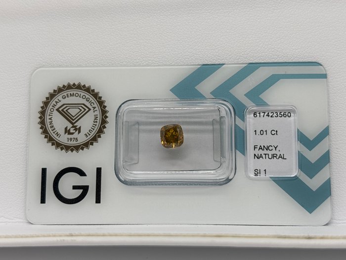 Ingen mindstepris - 1 pcs Diamant  (Naturfarvet)  - 101 ct - Pude - Fancy deep Brunlig Orange nuance Gul - SI1 - International Gemological Institute (IGI)