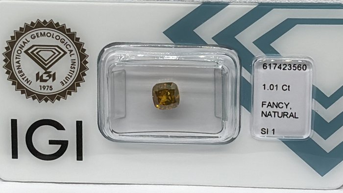 Ingen mindstepris - 1 pcs Diamant  (Naturfarvet)  - 101 ct - Pude - Fancy deep Brunlig Orange nuance Gul - SI1 - International Gemological Institute (IGI)