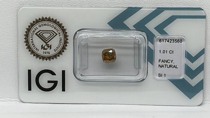 Ingen mindstepris - 1 pcs Diamant  (Naturfarvet)  - 101 ct - Pude - Fancy deep Brunlig Orange nuance Gul - SI1 - International Gemological Institute (IGI)