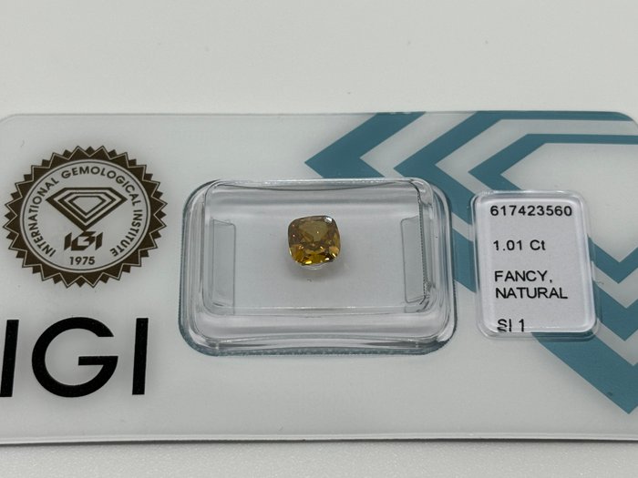 Ingen mindstepris - 1 pcs Diamant  (Naturfarvet)  - 101 ct - Pude - Fancy deep Brunlig Orange nuance Gul - SI1 - International Gemological Institute (IGI)