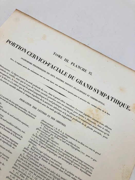 Undervisningsmaterialer - Nicolas-Henri Jacob  Jean Baptiste Marc Bourgery - traité d'anatomie de l'homme 1881 - Papir - 1850-1900