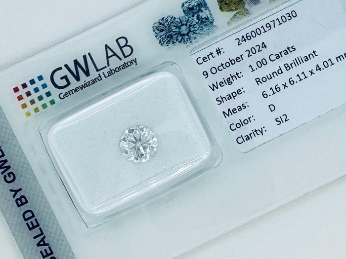 Ingen mindstepris - 1 pcs Diamant  (Natur)  - 1.00 ct - Rund - D (farveløs) - SI2 - Gemewizard Gemological Laboratory (GWLab)