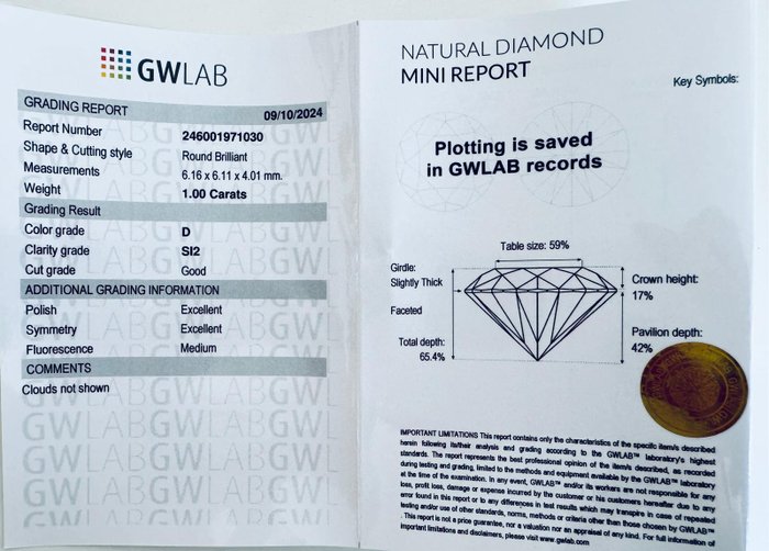 Ingen mindstepris - 1 pcs Diamant  (Natur)  - 1.00 ct - Rund - D (farveløs) - SI2 - Gemewizard Gemological Laboratory (GWLab)