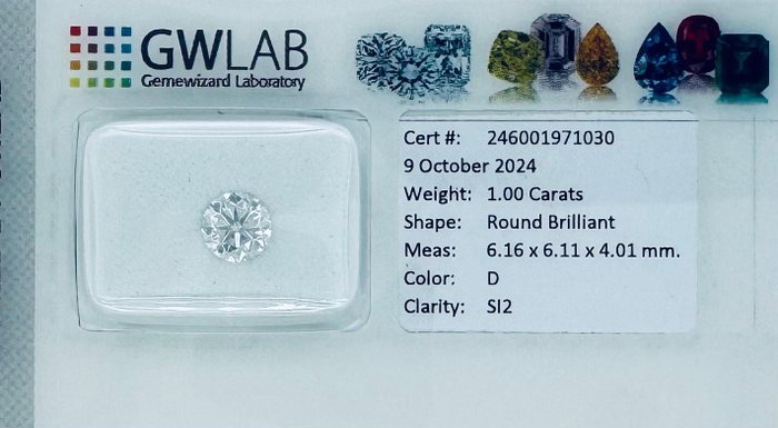 Ingen mindstepris - 1 pcs Diamant  (Natur)  - 1.00 ct - Rund - D (farveløs) - SI2 - Gemewizard Gemological Laboratory (GWLab)